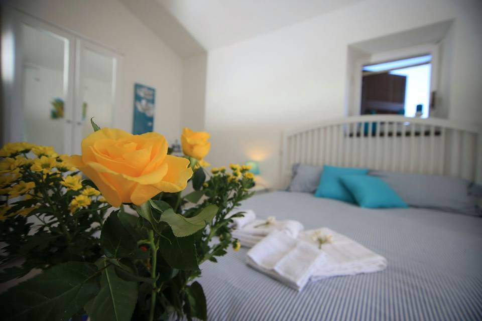 six-guest-house-4-1-1.jpg